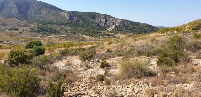 Image No.5-Land for sale