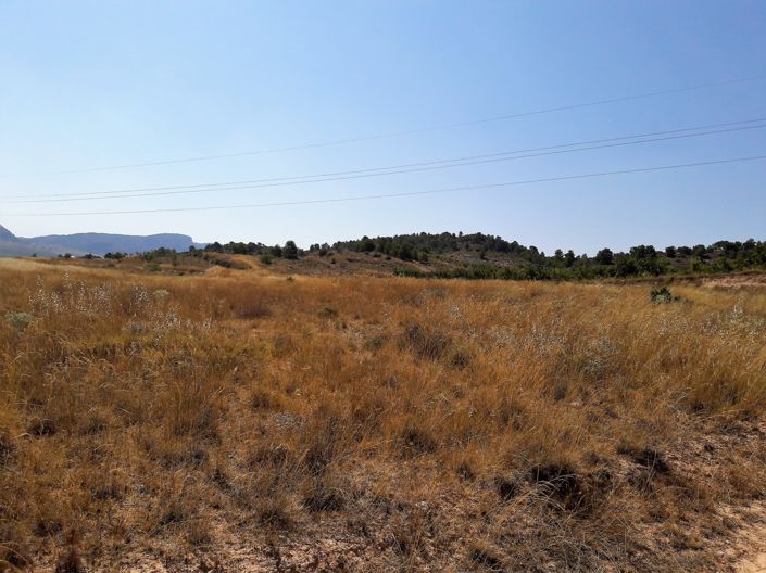 Image No.3-Land for sale