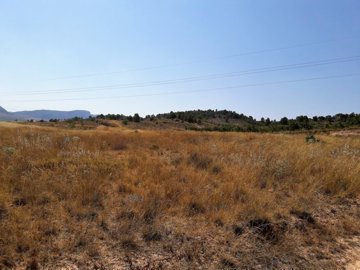 1631parcelajaunblanco301018110408201708292122