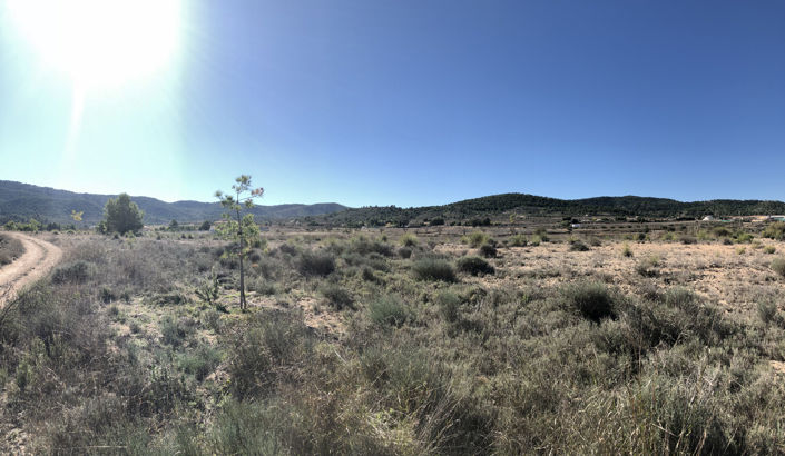 Image No.1-Land for sale