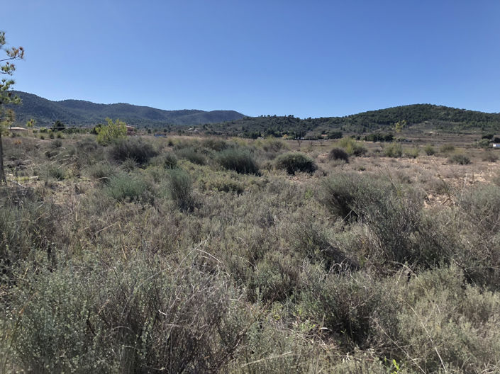 Image No.3-Land for sale