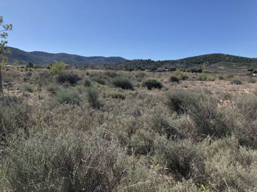 1328parcelachinorlet1img7677tn