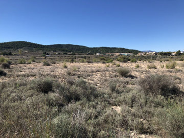 1328parcelachinorlet1img7666tn