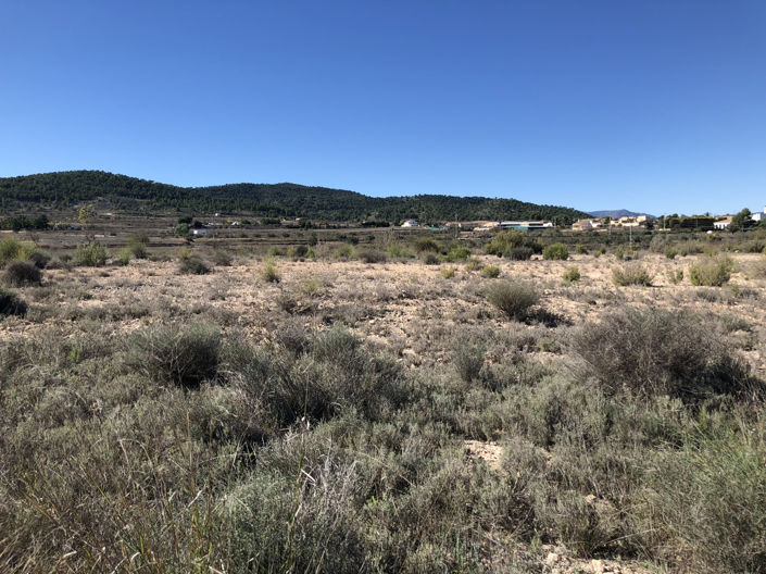 Image No.5-Land for sale