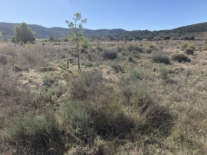 Image No.6-Land for sale