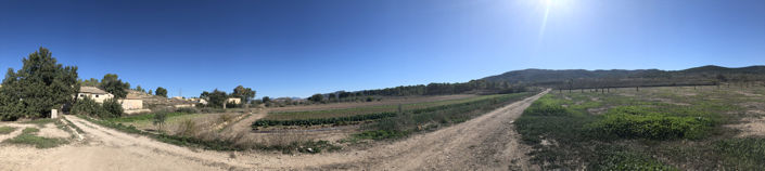 Image No.8-Land for sale