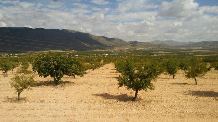 Image No.2-Land for sale