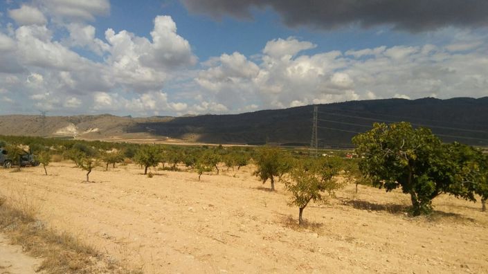 Image No.3-Land for sale