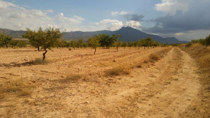 Image No.5-Land for sale