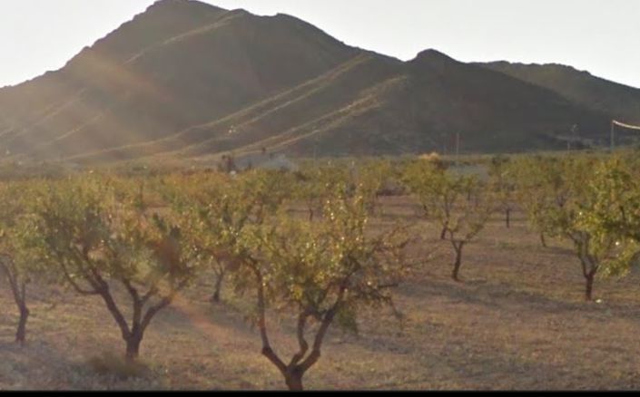 Image No.1-Land for sale