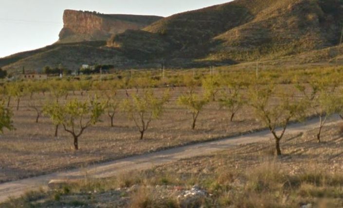 Image No.2-Land for sale