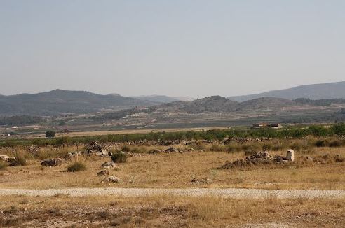 Image No.1-Land for sale