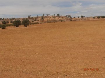 885landjoaquincf11972