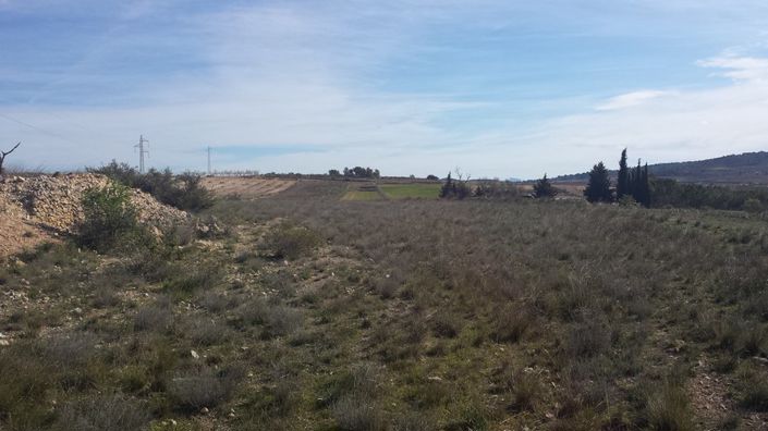 Image No.3-Land for sale