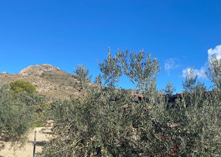 Image No.29-3 Bed Villa for sale