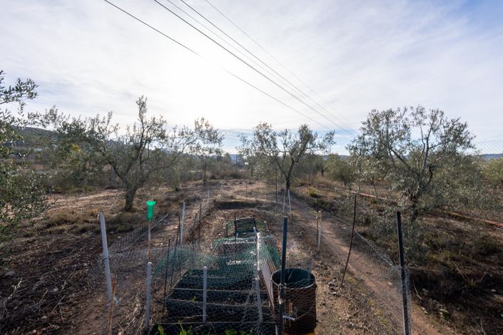 Image No.20-1 Bed Country House for sale