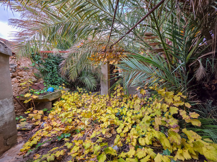 Image No.13-4 Bed Country House for sale