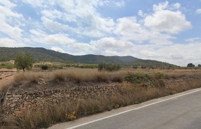 Image No.3-Terre à vendre à La Zarza