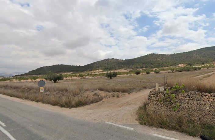 Image No.4-Terre à vendre à La Zarza