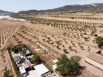 3881buildingplotincasasdelosfrailes2808251323