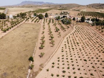 3881buildingplotincasasdelosfrailes2808251323