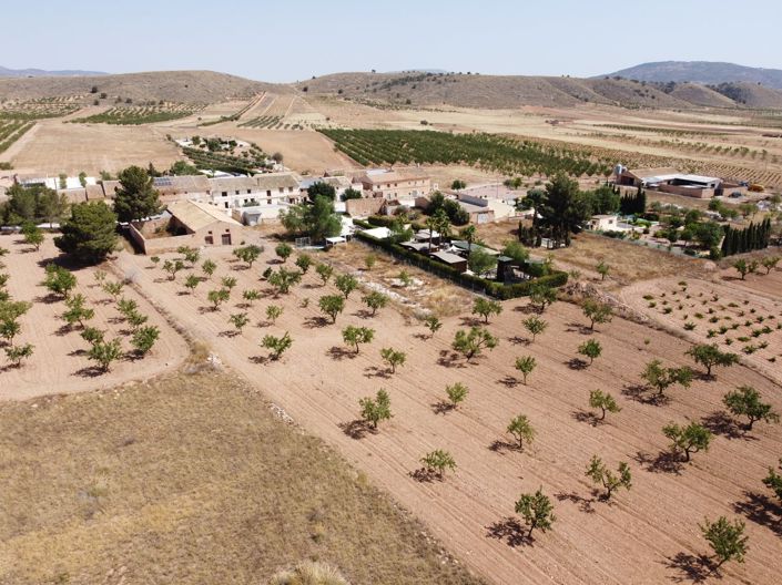 Image No.5-Terre à vendre à Abanilla