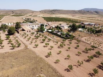 3881buildingplotincasasdelosfrailes2808251323