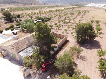 3881buildingplotincasasdelosfrailes2808251323