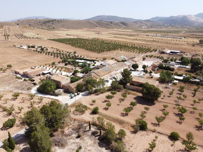 Image No.8-Terre à vendre à Abanilla