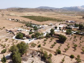 3881buildingplotincasasdelosfrailes2808251323