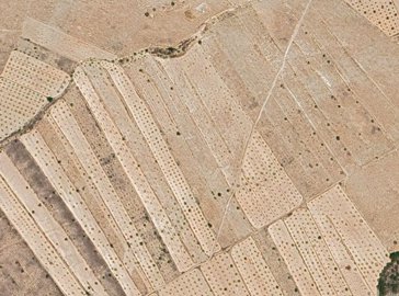 388411894m2buildingplotinfrailes280825165613s