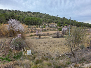 3706largeplotoflandinlazarzavalley28022516324