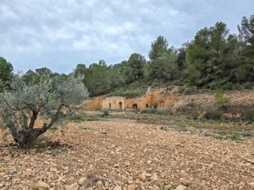 3706largeplotoflandinlazarzavalley28022516324