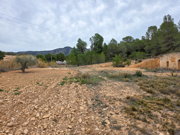 3706largeplotoflandinlazarzavalley28022516324