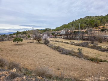 3706largeplotoflandinlazarzavalley28022516324