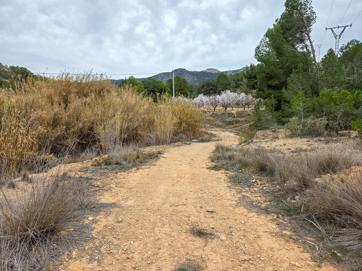 Image No.7-Terre à vendre à La Zarza