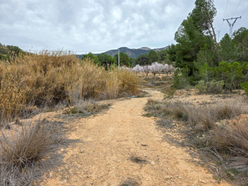 3706largeplotoflandinlazarzavalley28022516324