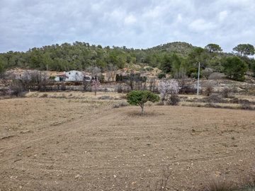 3706largeplotoflandinlazarzavalley28022516324