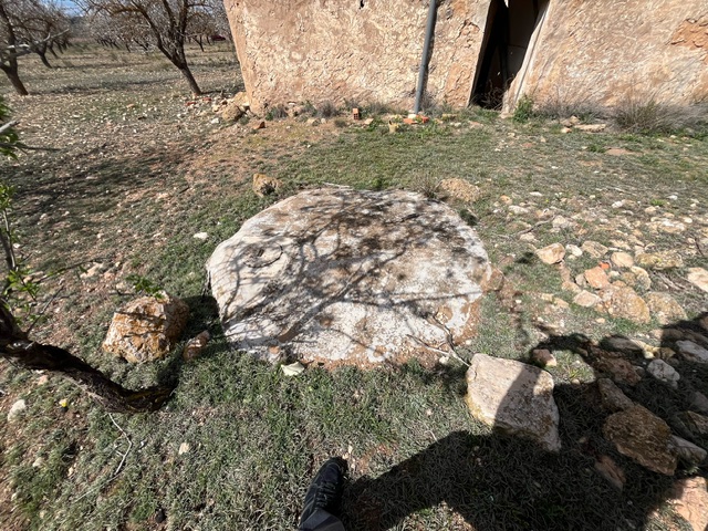 Image No.14-Terre à vendre à Yecla