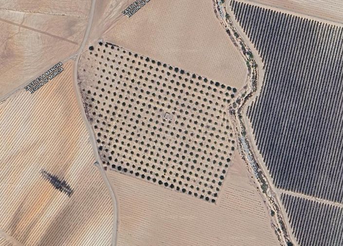 Image No.15-Terre à vendre à Yecla