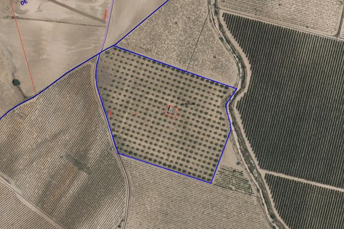 Image No.2-Terre à vendre à Yecla