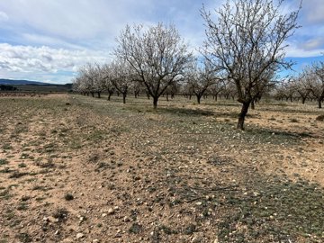 3708plotoflandinyecla110325153416image1