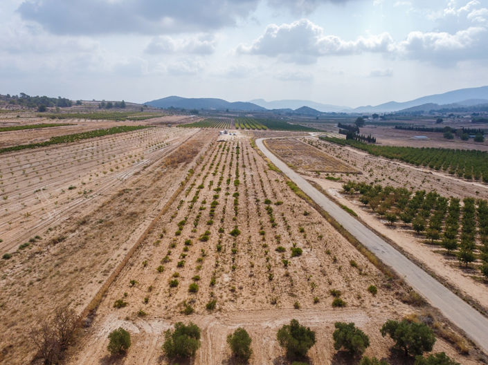 Image No.5-Land for sale