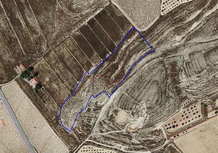 Image No.16-Terre à vendre à Pinoso