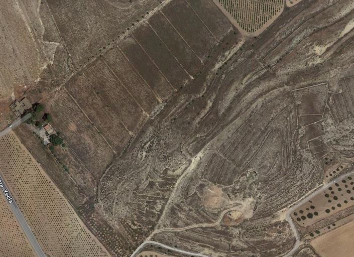 Image No.17-Terre à vendre à Pinoso