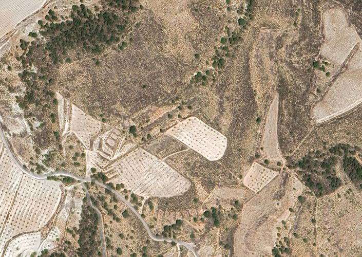 Image No.2-Terre à vendre à Jumilla