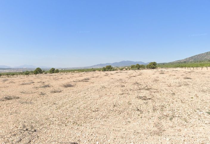 Image No.2-Terre à vendre à Pinoso