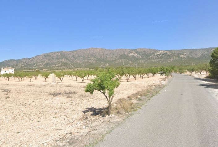 Image No.3-Terre à vendre à Pinoso