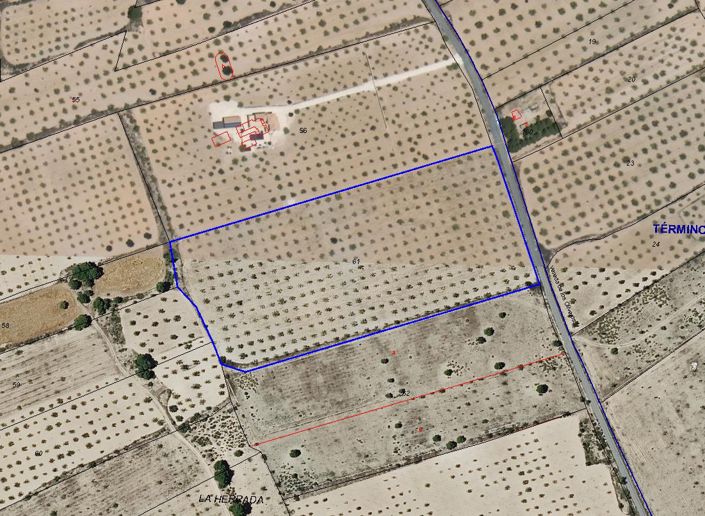 Image No.4-Terre à vendre à Pinoso