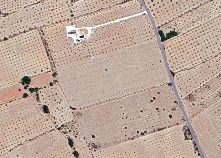 Image No.5-Terre à vendre à Pinoso